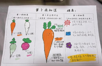 红心萝卜游戏怎么玩,掌握核心规则,轻松上手体验 红心萝卜游戏怎么玩,掌握核心规则,轻松上手体验