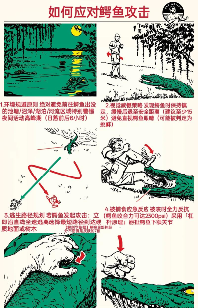 灾难桌面游戏怎么玩,规则快速上手,体验紧张刺激 灾难桌面游戏怎么玩,规则快速上手,体验紧张刺激