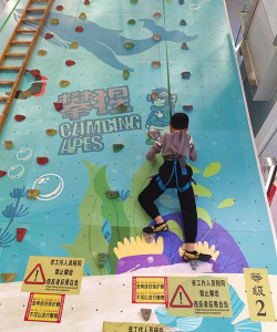 女生爬墙是什么游戏,玩法简单吗,适合新手吗 女生爬墙是什么游戏,玩法简单吗,适合新手吗