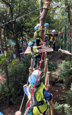 悬崖跳树枝什么游戏,玩法简单,上手容易 悬崖跳树枝什么游戏,玩法简单,上手容易