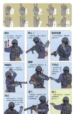 真理军姿游戏攻略,掌握核心技巧,轻松通关无压力 真理军姿游戏攻略,掌握核心技巧,轻松通关无压力