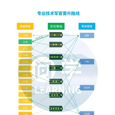 军官晋升游戏攻略,快速提升军衔,掌握核心技巧 军官晋升游戏攻略,快速提升军衔,掌握核心技巧