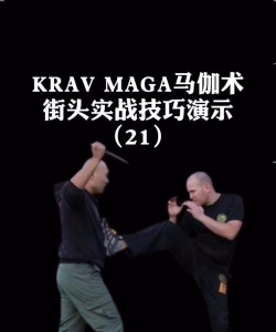 海马游戏格斗怎么玩,掌握核心技巧,快速上手实战 海马游戏格斗怎么玩,掌握核心技巧,快速上手实战