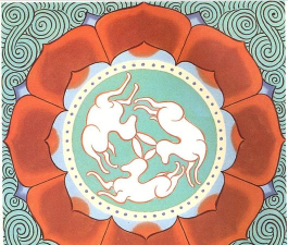 物华弥新三兔藻井怎么样 物华弥新三兔藻井怎么样