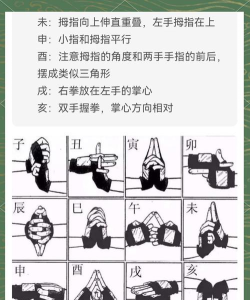 火影游戏怎么玩新手,快速上手技巧,核心玩法解析 火影游戏怎么玩新手,快速上手技巧,核心玩法解析