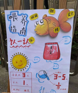 义卖销售游戏怎么玩,掌握核心规则,轻松上手体验 义卖销售游戏怎么玩,掌握核心规则,轻松上手体验