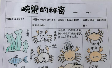 吸血螃蟹游戏怎么玩,掌握核心规则,快速上手体验 吸血螃蟹游戏怎么玩,掌握核心规则,快速上手体验