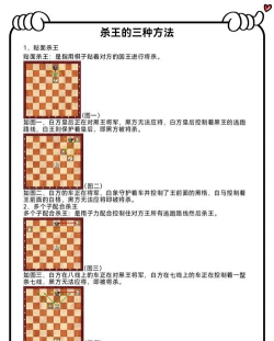 杀国王游戏攻略,掌握核心技巧,轻松赢得胜利 杀国王游戏攻略,掌握核心技巧,轻松赢得胜利