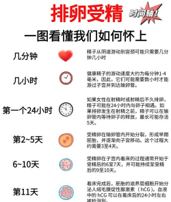 游戏女生怀胎怎么玩,新手入门指南,常见问题解答 游戏女生怀胎怎么玩,新手入门指南,常见问题解答