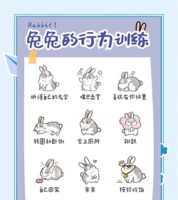 拔河游戏兔子怎么玩,掌握规则技巧,轻松赢得比赛 拔河游戏兔子怎么玩,掌握规则技巧,轻松赢得比赛