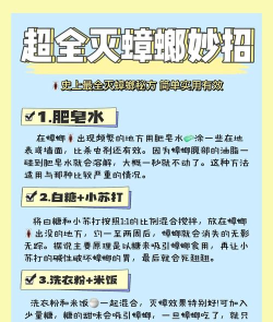 蟑螂防守游戏怎么玩,掌握核心规则,快速上手体验 蟑螂防守游戏怎么玩,掌握核心规则,快速上手体验