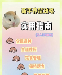 仓鼠真的游戏怎么玩,新手入门指南,轻松上手技巧 仓鼠真的游戏怎么玩,新手入门指南,轻松上手技巧