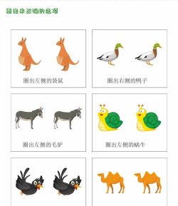 图像归位是什么游戏,玩法简单有趣,适合休闲放松 图像归位是什么游戏,玩法简单有趣,适合休闲放松