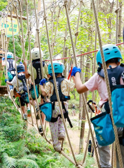 守护森林有什么游戏,推荐几款,体验自然乐趣 守护森林有什么游戏,推荐几款,体验自然乐趣