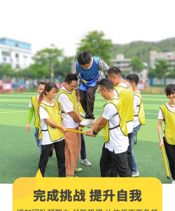 梯子运输游戏怎么玩,掌握核心规则,体验团队协作乐趣 梯子运输游戏怎么玩,掌握核心规则,体验团队协作乐趣