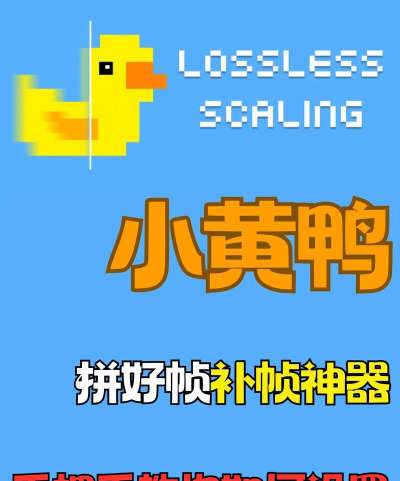 黄金小鸭游戏怎么玩,新手入门指南,快速上手技巧 黄金小鸭游戏怎么玩,新手入门指南,快速上手技巧