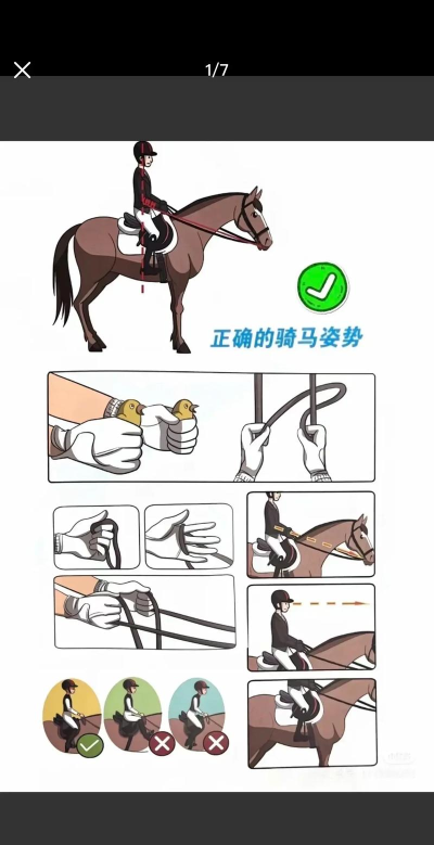 捉马是什么游戏,玩法简单,上手容易 捉马是什么游戏,玩法简单,上手容易