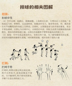 田径游戏排球怎么玩,掌握基本规则,体验团队乐趣 田径游戏排球怎么玩,掌握基本规则,体验团队乐趣