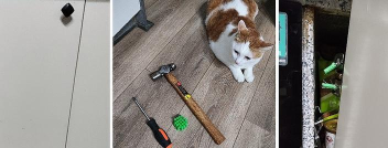 锤子猫是什么游戏,玩法简单有趣,适合休闲放松 锤子猫是什么游戏,玩法简单有趣,适合休闲放松