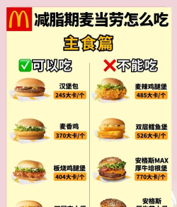 麦当劳游戏经营攻略,提升游戏体验,掌握核心玩法 麦当劳游戏经营攻略,提升游戏体验,掌握核心玩法