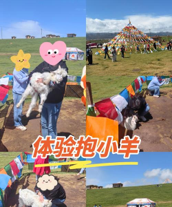 领养小羊游戏怎么玩,掌握核心玩法,体验温馨互动 领养小羊游戏怎么玩,掌握核心玩法,体验温馨互动