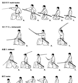 女生拔刀游戏怎么玩,轻松上手,掌握核心技巧 女生拔刀游戏怎么玩,轻松上手,掌握核心技巧