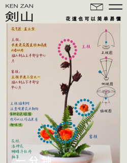 花草植物游戏怎么玩,新手入门指南,轻松上手技巧 花草植物游戏怎么玩,新手入门指南,轻松上手技巧