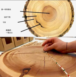 年轮游戏世界攻略,新手快速上手,高手进阶技巧 年轮游戏世界攻略,新手快速上手,高手进阶技巧