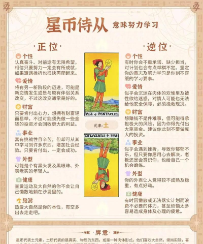 塔夫属于什么游戏,角色定位解析,玩法特点介绍 塔夫属于什么游戏,角色定位解析,玩法特点介绍
