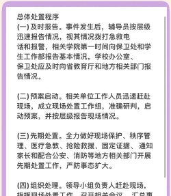 校园危机攻略游戏,应对突发状况,掌握生存技巧 校园危机攻略游戏,应对突发状况,掌握生存技巧