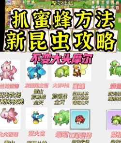 蜜蜂仙子游戏攻略,新手快速上手,高手进阶技巧 蜜蜂仙子游戏攻略,新手快速上手,高手进阶技巧