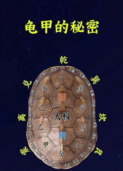 占卜海龟游戏攻略,新手入门技巧,快速上手方法 占卜海龟游戏攻略,新手入门技巧,快速上手方法