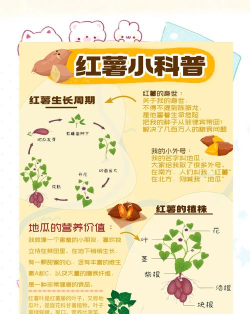 挖红薯游戏怎么玩,掌握核心规则,体验趣味互动 挖红薯游戏怎么玩,掌握核心规则,体验趣味互动