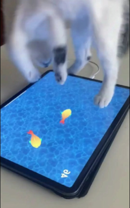 peppy cat游戏怎么玩,掌握核心技巧,轻松上手体验 peppy cat游戏怎么玩,掌握核心技巧,轻松上手体验