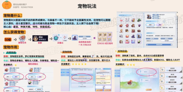 ro手游加血的猫,宠物选择要点,实战辅助技巧 ro手游加血的猫,宠物选择要点,实战辅助技巧