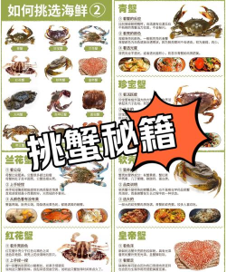 海蟹养成游戏攻略,掌握核心玩法,轻松提升养成效率 海蟹养成游戏攻略,掌握核心玩法,轻松提升养成效率