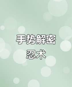 忍游戏怎么玩的,新手入门指南,快速上手技巧 忍游戏怎么玩的,新手入门指南,快速上手技巧