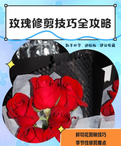 刀削玫瑰游戏怎么玩,新手入门指南,快速掌握技巧 刀削玫瑰游戏怎么玩,新手入门指南,快速掌握技巧