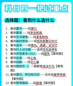 开车脱险游戏怎么玩,掌握核心技巧,轻松应对挑战 开车脱险游戏怎么玩,掌握核心技巧,轻松应对挑战