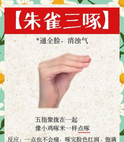 小啄是什么游戏,玩法特点,适合人群 小啄是什么游戏,玩法特点,适合人群