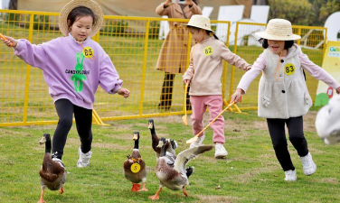 鳄鱼狗鸭子什么游戏,玩法简单,适合亲子互动 鳄鱼狗鸭子什么游戏,玩法简单,适合亲子互动
