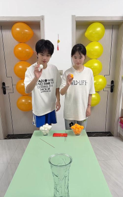 重力乒乓游戏怎么玩,掌握基础操作,体验独特乐趣 重力乒乓游戏怎么玩,掌握基础操作,体验独特乐趣