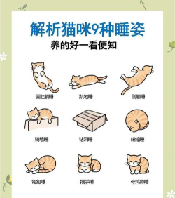 猫咪睡觉是什么游戏,玩法简单,适合放松,体验治愈感 猫咪睡觉是什么游戏,玩法简单,适合放松,体验治愈感