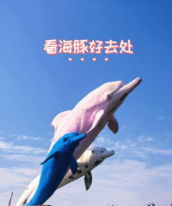 游戏蓝色海豚怎么玩,掌握核心技巧,轻松上手体验 游戏蓝色海豚怎么玩,掌握核心技巧,轻松上手体验