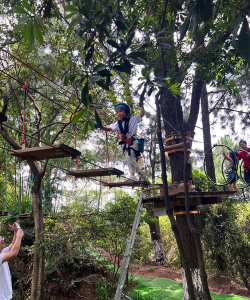 树林挑战游戏怎么玩,掌握核心规则,体验户外乐趣 树林挑战游戏怎么玩,掌握核心规则,体验户外乐趣