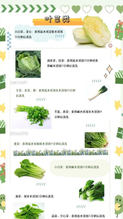 厨房洗菜游戏攻略,轻松上手,快速通关 厨房洗菜游戏攻略,轻松上手,快速通关