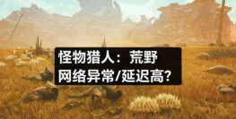 怪物猎人荒野延迟高怎么降低 怪物猎人荒野延迟高怎么降低