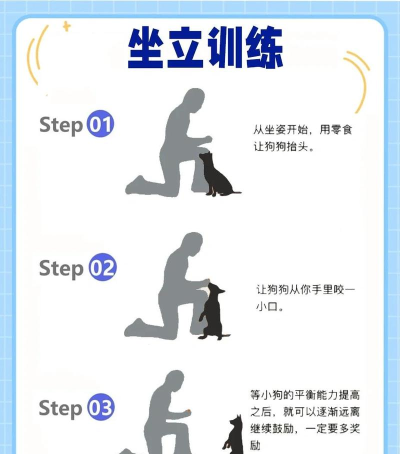 画狗游戏怎么玩,掌握基本规则,体验创意乐趣 画狗游戏怎么玩,掌握基本规则,体验创意乐趣