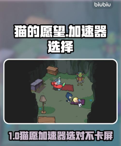 如果猫的愿望能实现加速器选择哪个好 如果猫的愿望能实现加速器选择哪个好