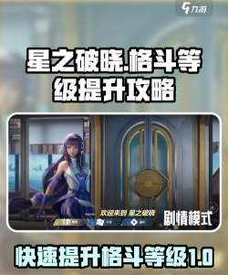 星之破晓格斗等级是什么 星之破晓格斗等级是什么